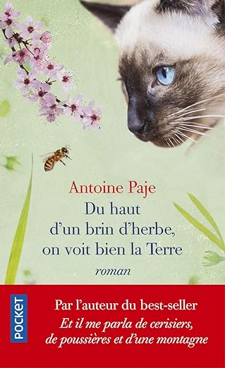 Du haut d'un brin d'herbe, on voit bien la Terre