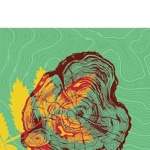 Sur les chemins noirs