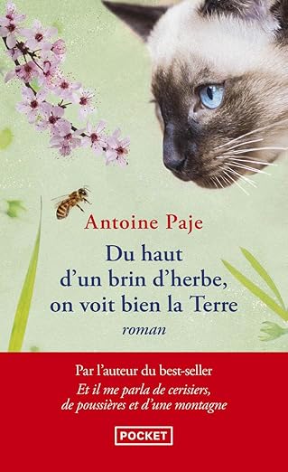 Du haut d'un brin d'herbe, on voit la Terre