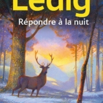 Répondre à la nuit