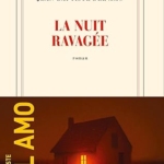 La nuit ravagée